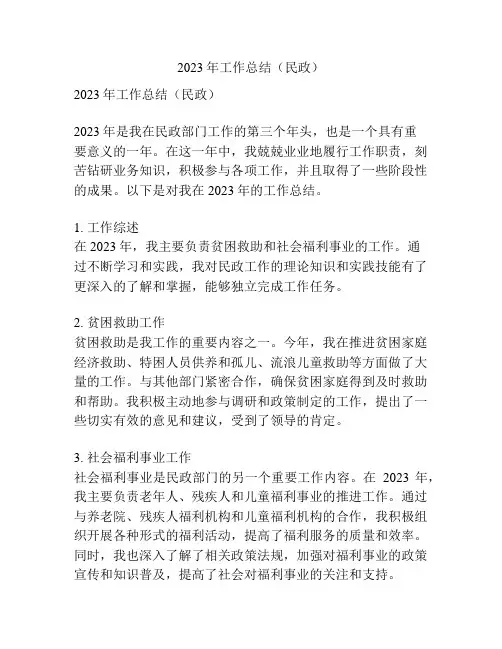 2023年工作总结(民政)