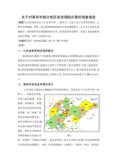 莱芜 地质灾害 岩溶塌陷 调查报告