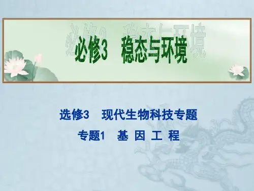 高考生物总复习拔高精讲课件选修3 专题1 基因工程