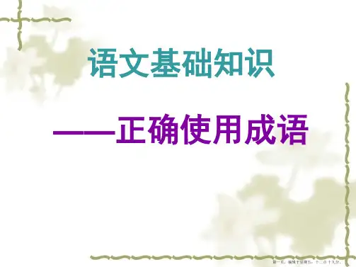 正确使用成语课件