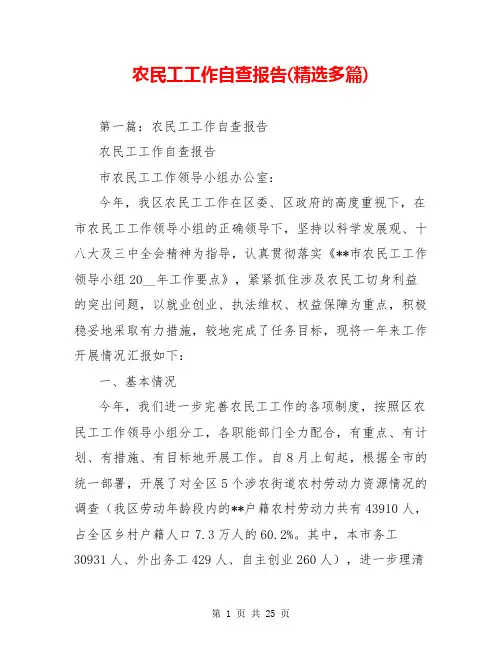 农民工工作自查报告(精选多篇)