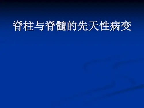 脊柱与脊髓的先天性病变