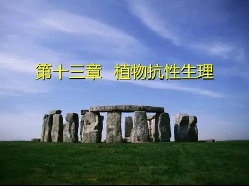 第十三章  逆境生理