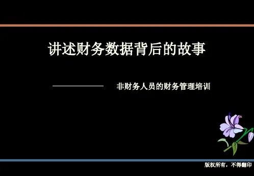 非财务经理的财务管理1-56页PPT资料