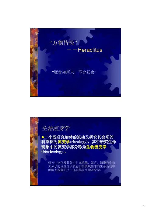 流变学课件