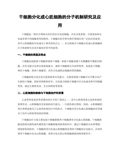干细胞分化成心肌细胞的分子机制研究及应用
