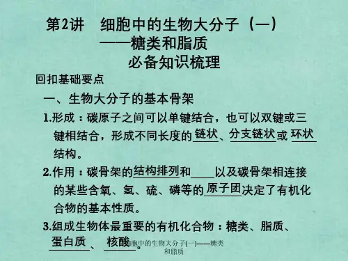 细胞中的生物大分子(一)——糖类和脂质