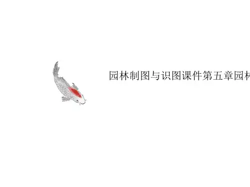 园林制图与识讲义图课件第五章园林要素的画法