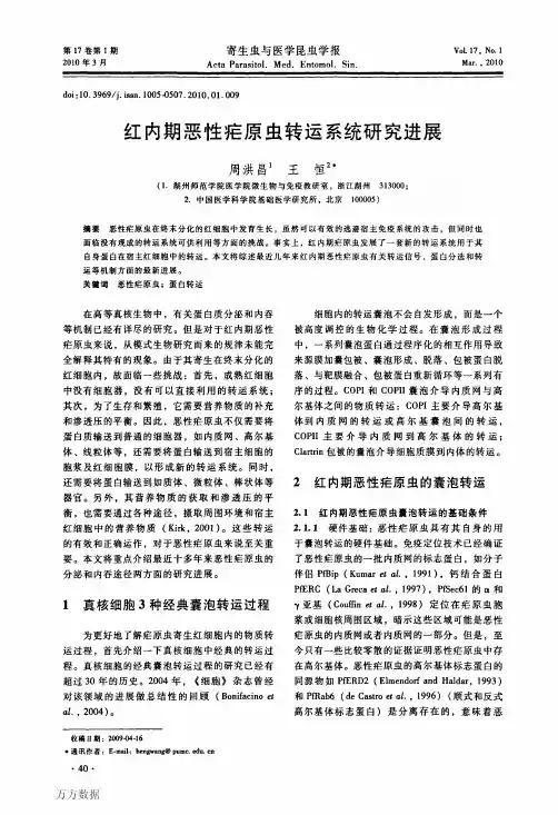 红内期恶性疟原虫转运系统研究进展