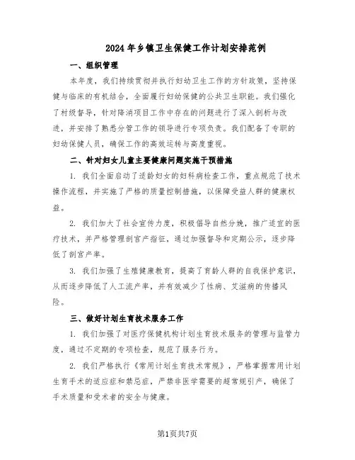 2024年乡镇卫生保健工作计划安排范例(二篇)