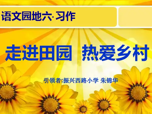 振兴西路小学朱锦华 语文园地六《走进田园_热爱乡村》