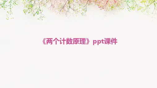 《两个计数原理》课件
