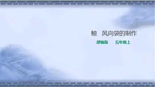 部编版五年级语文上册第五单元《习作例文》课件 一课时.ppt