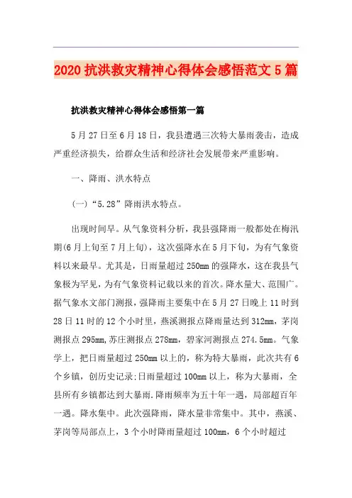 抗洪救灾精神心得体会感悟范文5篇