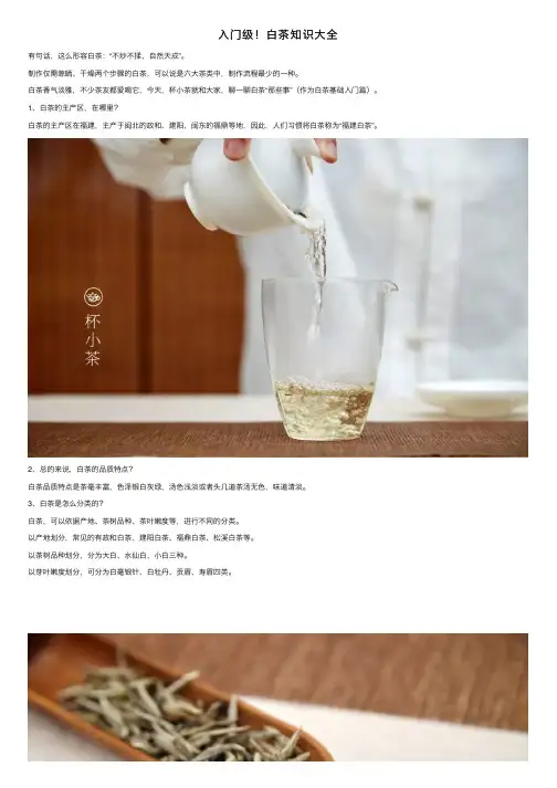 入门级！白茶知识大全