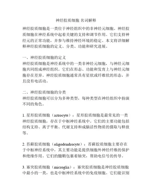 神经胶质细胞 名词解释