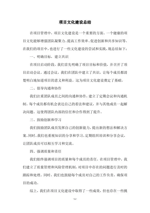 项目文化建设总结