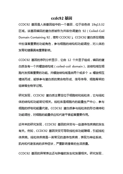 ccdc92基因