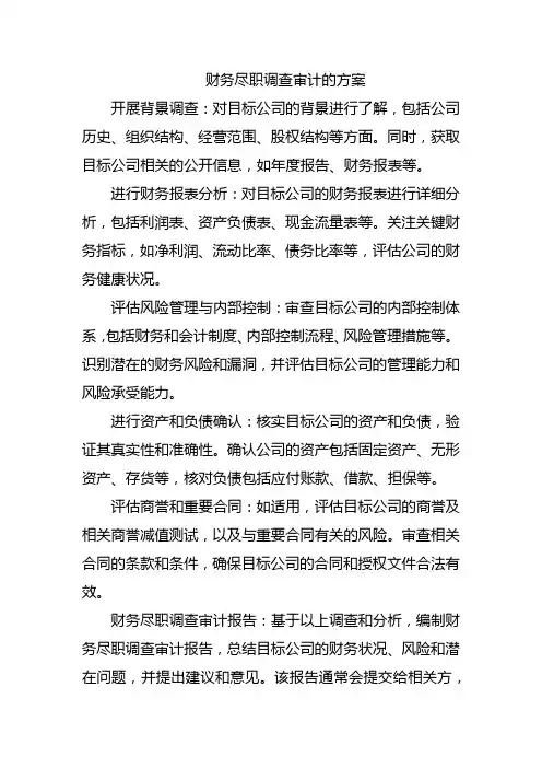 财务尽职调查审计的方案
