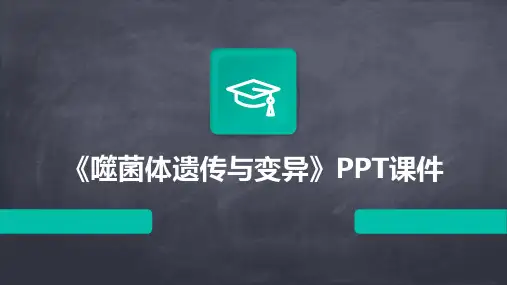 《噬菌体遗传与变异》课件