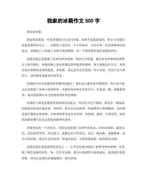 我家的冰箱作文500字