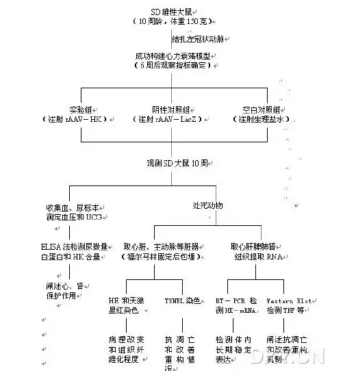 国家自然科学基金技术路线图大全共份