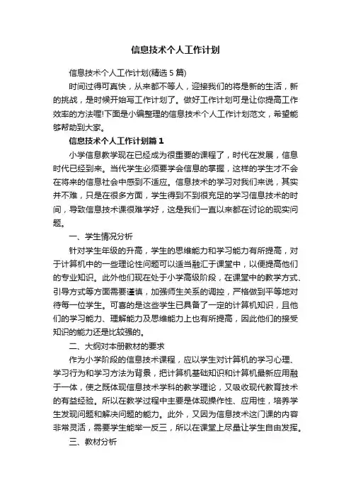 信息技术个人工作计划