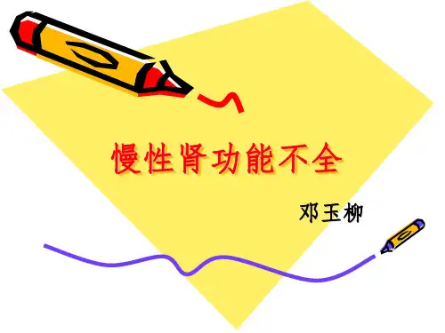 慢性肾功能不全 PPT课件