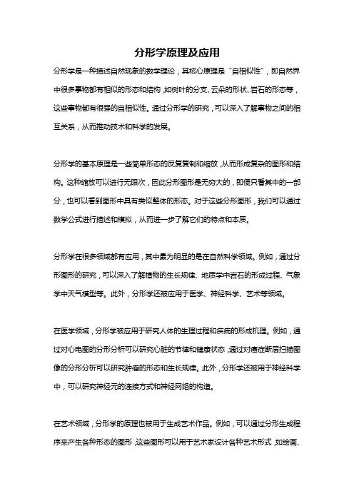 分形学原理及应用