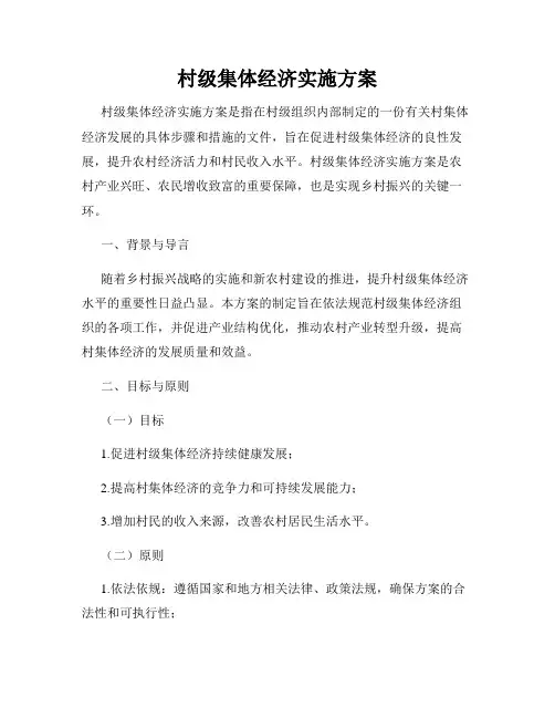 村级集体经济实施方案