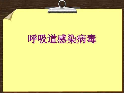 呼吸道感染病毒优质PPT课件