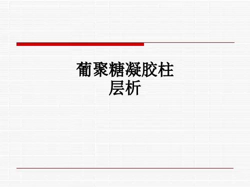 葡聚糖凝胶柱层析ppt课件