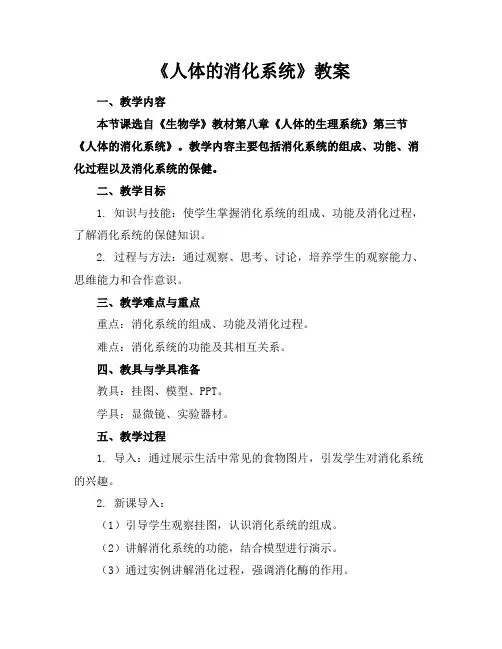 《人体的消化系统》教案