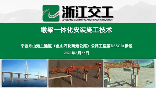 桥梁技术培训课件：墩梁一体化安装施工技术