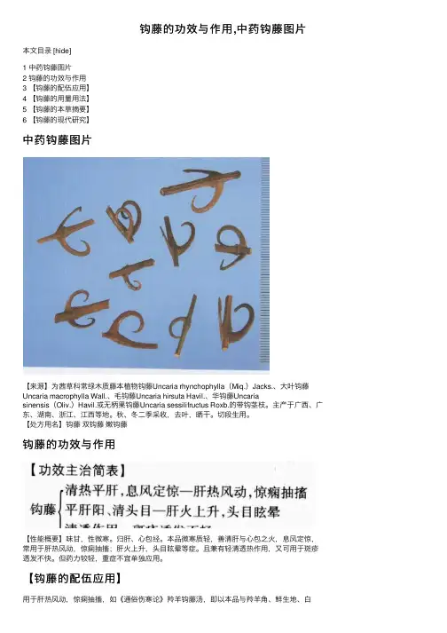 钩藤的功效与作用,中药钩藤图片