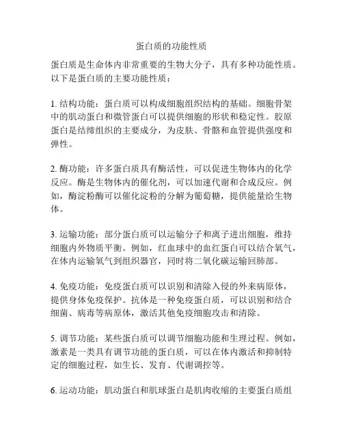 蛋白质的功能性质