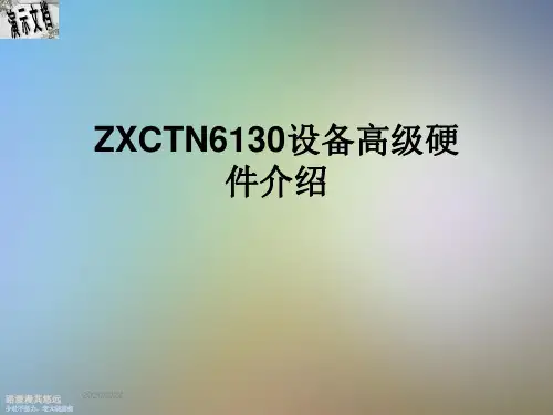 ZXCTN6130设备高级硬件介绍