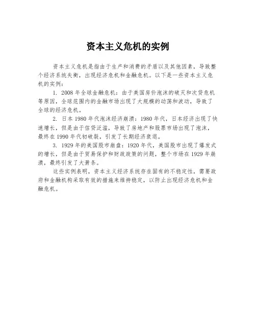 资本主义危机的实例