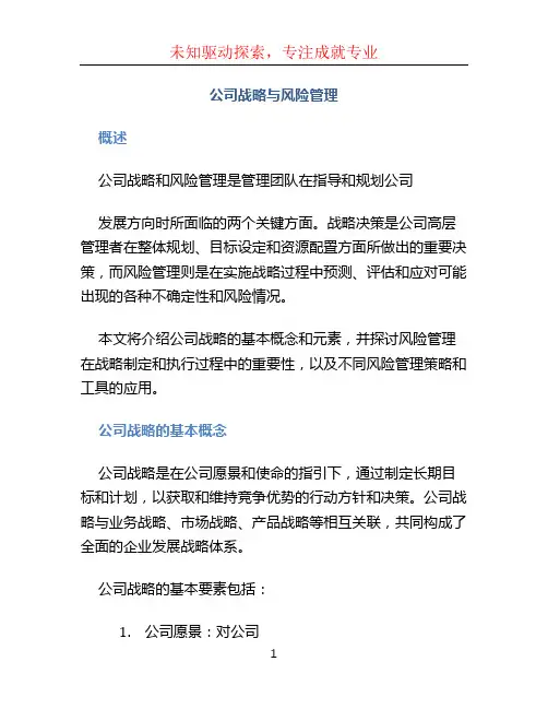 公司战略与风险管理