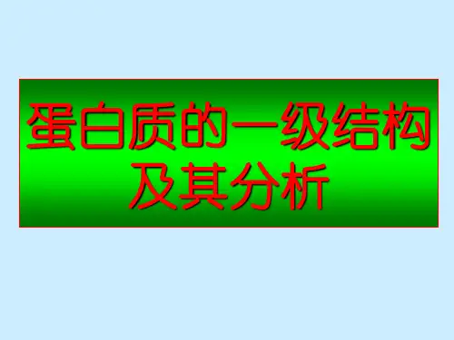 蛋白质的一级结构及分析