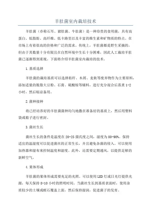羊肚菌室内栽培技术