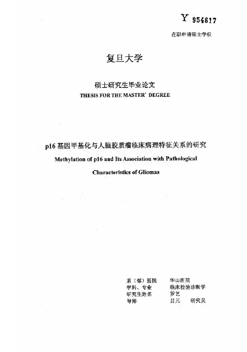 p16基因甲基化与人脑胶质瘤临床病理特征关系的研究