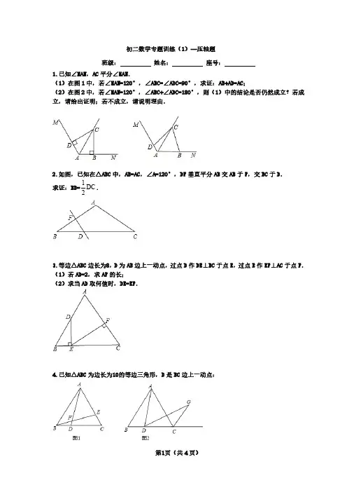 北师大版八年级上专题复习：压轴题