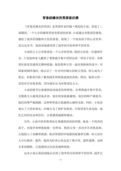 穿条纹睡衣的男孩读后感