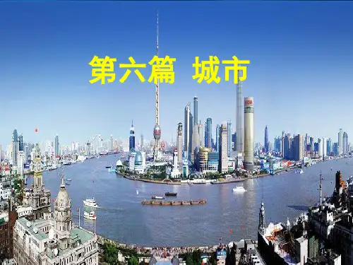 上海高考地理一模复习第六篇城市(复习)