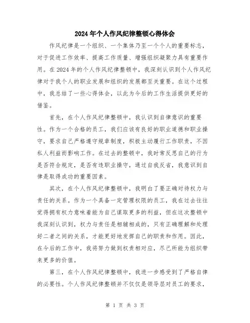 2024年个人作风纪律整顿心得体会