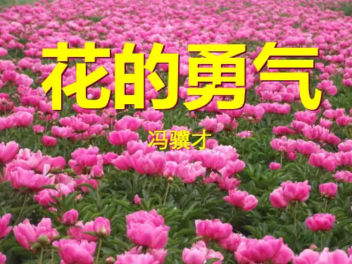 《花的勇气》-四年级下册语文PPT课件