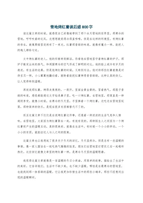 雪地烤红薯读后感800字