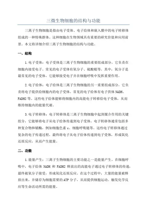 三微生物细胞的结构与功能