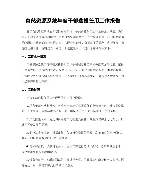自然资源系统年度干部选拔任用工作报告